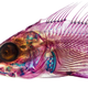 Illustration for article titled Check Out These Pigmented Fish, Like Creatures Made from Neon Lights